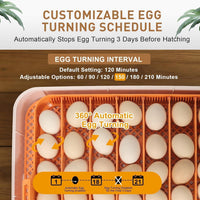 ZemiroHatch Series 4 ★ 56-Egg Incubator for Serious Breeders with Full Automation, Minimal Maintenance, Precision Control & Chick-Safe Design