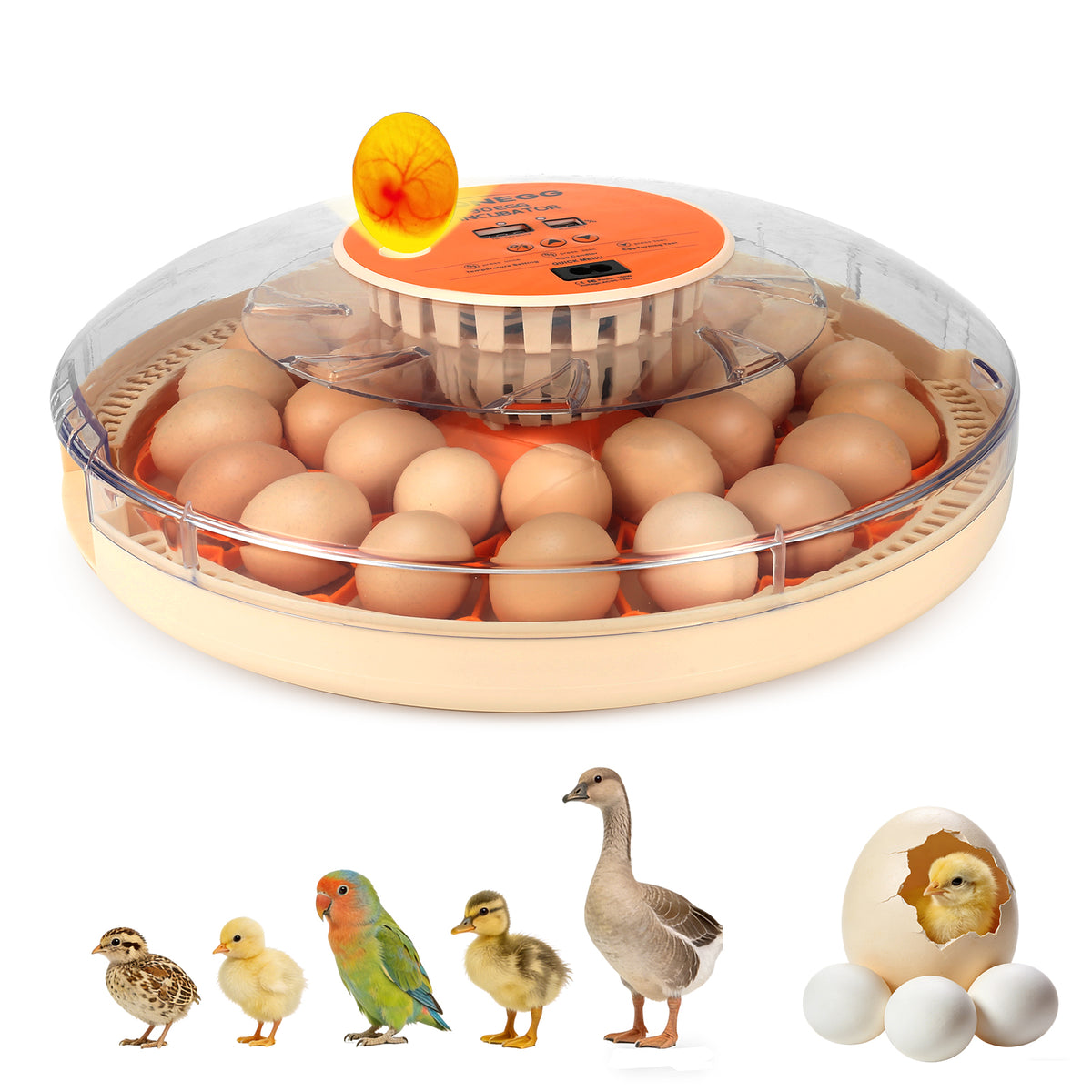 ZemiroHatch Series 2 ★ 30-Egg Incubator for Experienced Hatchers with Manual Humidity Control, Auto Turning & Real-Time Monitoring