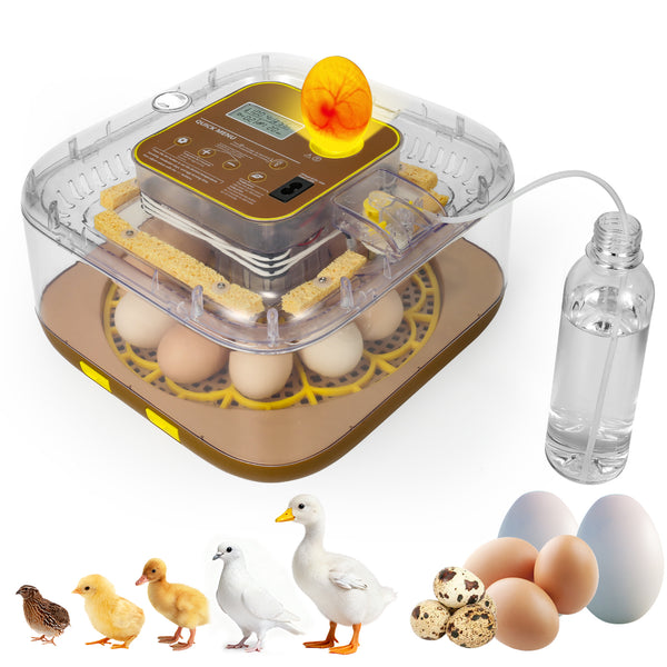Zemiro Pro 12-Egg Incubator for Beginners & Breeders with Full Automation, Minimal Maintenance, Precision Control & Chick-Safe Design - secondary