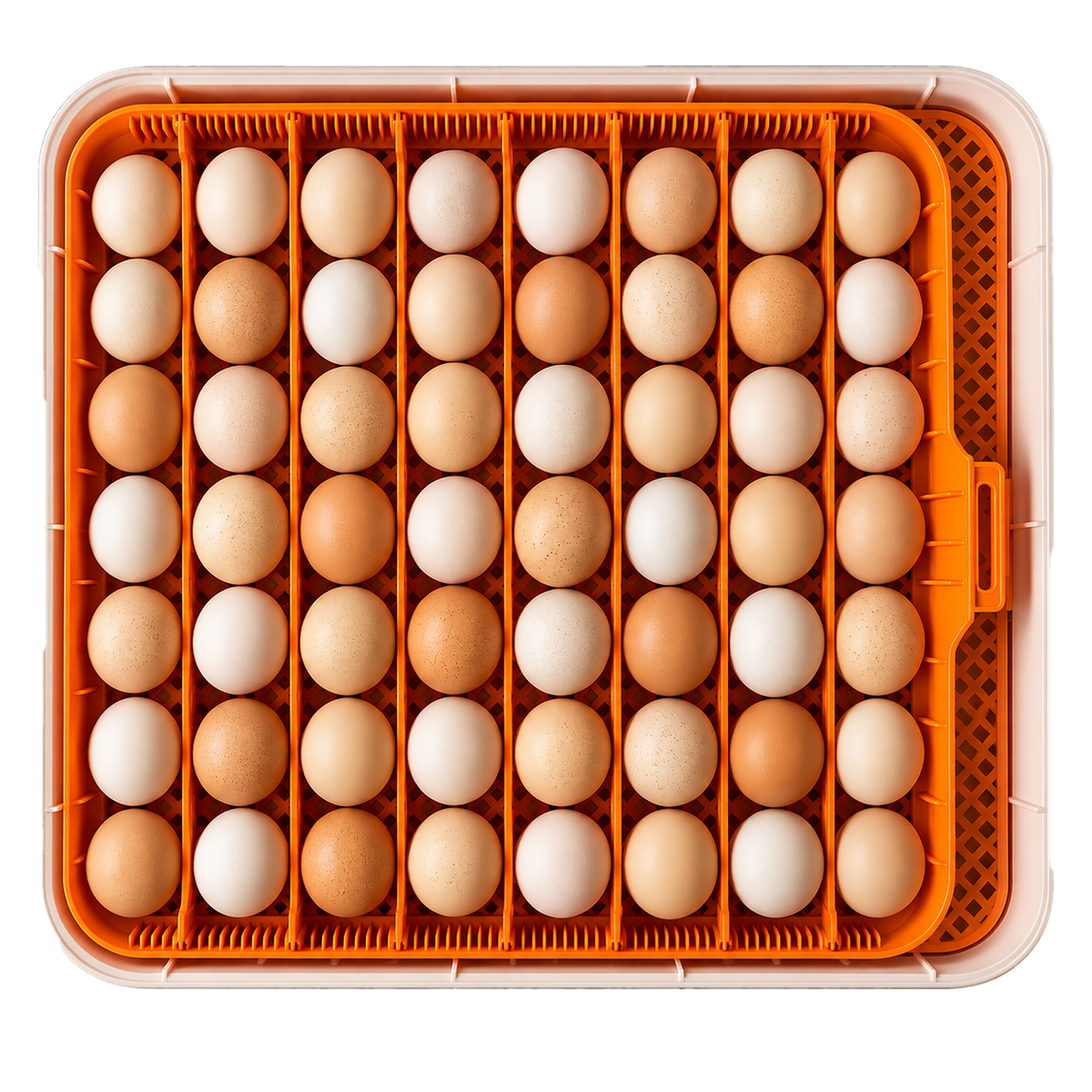 Large Capacity