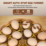 Zemiro Advanced 18-Egg Incubator for Beginners with Balanced Automation, Stable Temperature, Adaptive Humidity & Full Monitoring