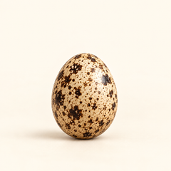 Quail