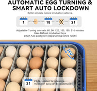 ZemiroHatch Series 4 ★ 70-Egg Incubator for Serious Breeders with Full Automation, Minimal Maintenance, Precision Control & Chick-Safe Design