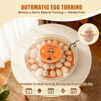 ZemiroHatch Series 2 ★ 30-Egg Incubator for Experienced Hatchers with Manual Humidity Control, Auto Turning & Real-Time Monitoring