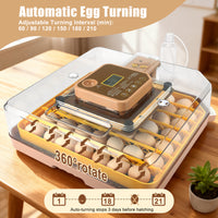 ZemiroHatch Series 4 ★ 48-Egg Incubator for Serious Breeders with Full Automation, Minimal Maintenance, Precision Control & Chick-Safe Design