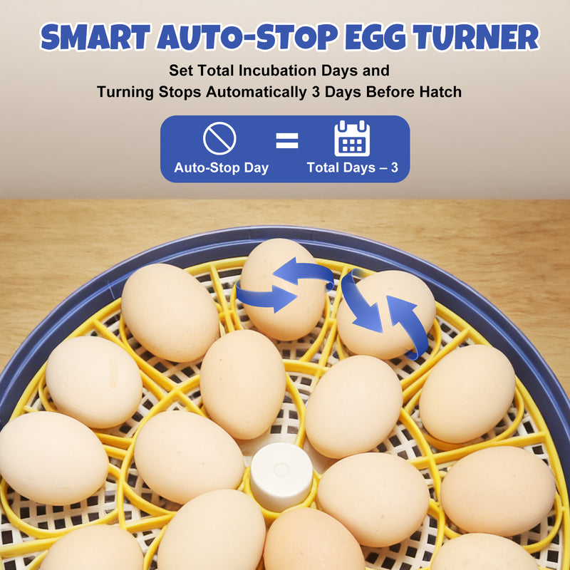 Zemiro Advanced 18-Egg Incubator for Beginners with Balanced Automation, Stable Temperature, Adaptive Humidity & Full Monitoring