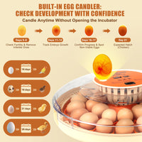 ZemiroHatch Series 2 ★ 30-Egg Incubator for Experienced Hatchers with Manual Humidity Control, Auto Turning & Real-Time Monitoring