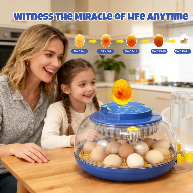 Zemiro Advanced 18-Egg Incubator for Beginners with Balanced Automation, Stable Temperature, Adaptive Humidity & Full Monitoring